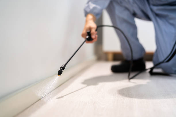 Licensed Mosquito Control service in Bartonsville, MD - Show Me Pest Control