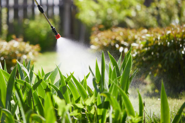 24/7 Emergency Mosquito Control experts in Bartonsville, MD