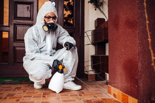 Reliable Mosquito Control contractor in Bartonsville, MD by Show Me Pest Control